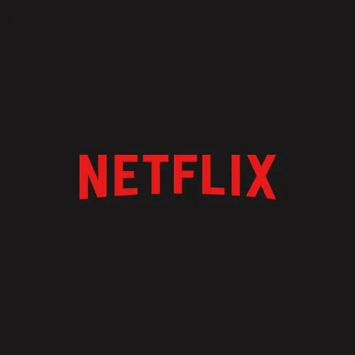 Netflix Account