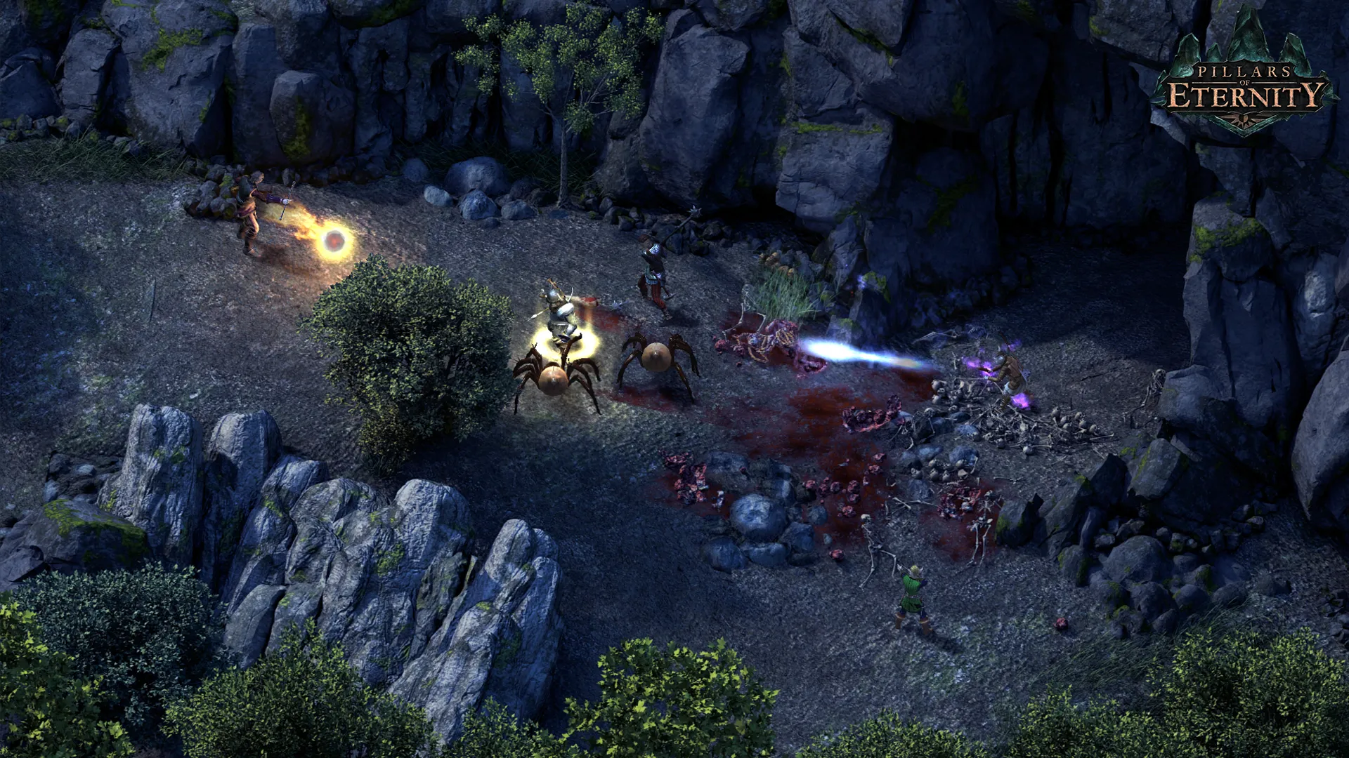 Pillars of Eternity Gameplay 2
