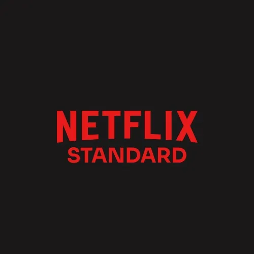 Netflix Account