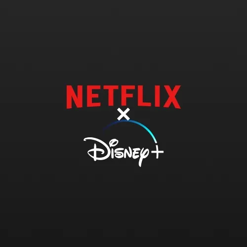 Netflix + Disney Plus Bundle 12 Months Global