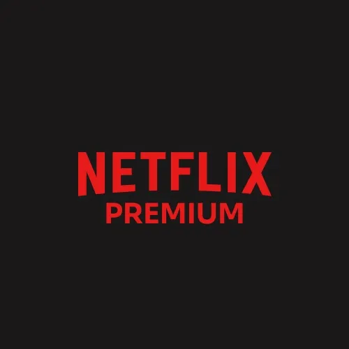 Netflix Account